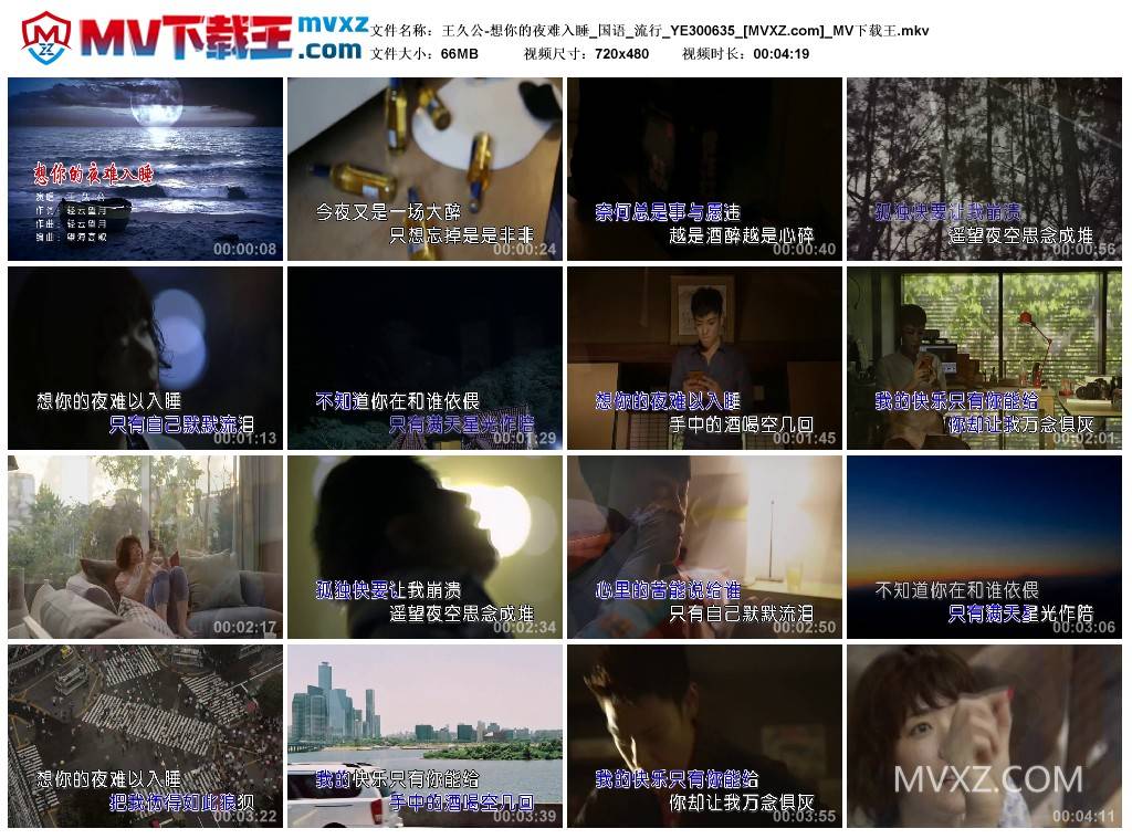 王久公-想你的夜难入睡_国语_流行_YE300635
